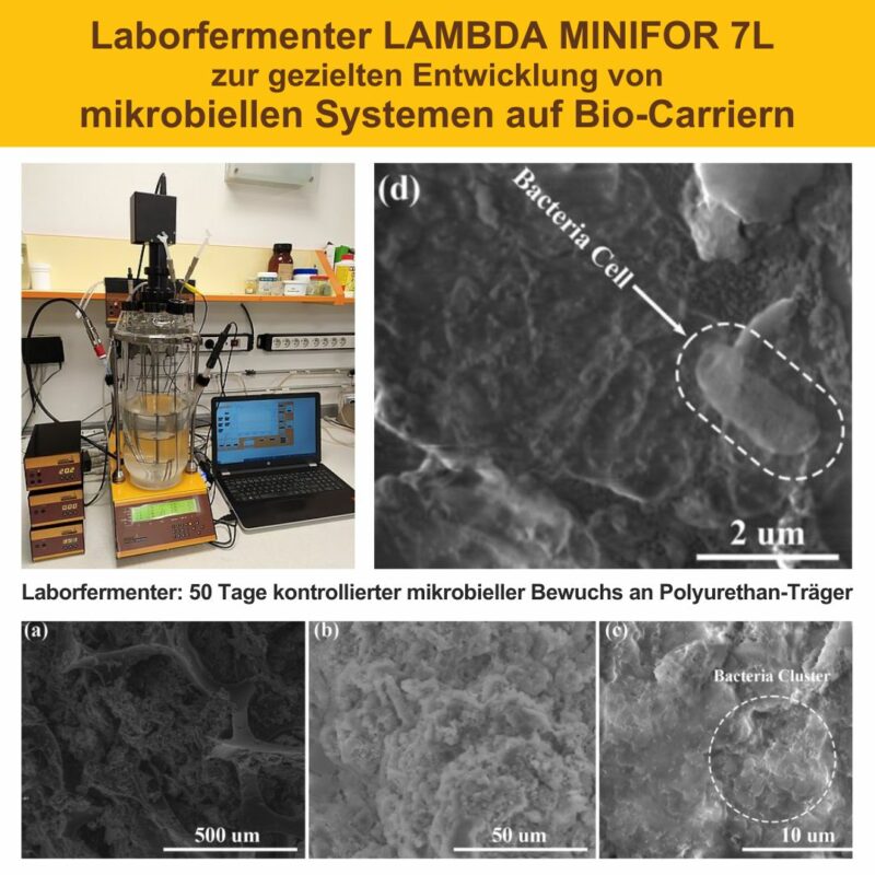 CRÉATION D'UN ÉCOSYSTÈME MICROBIEN DANS LE BIO-PORTEUR : Exploiter la puissance du bioréacteur-fermenteur LAMBDA MINIFOR. (Crédits image et sources : Fermenteur de laboratoire www.lambda-instruments.com/fr/ ; Images (a) - (d) doi.org/10.1016/j.jhazmat.2023.131514)