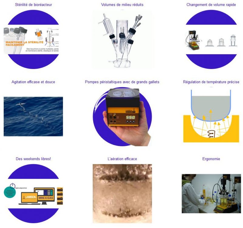Bioréacteur pour les cellules animales