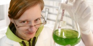 Submerse Mooskultur im Erlenmeyer