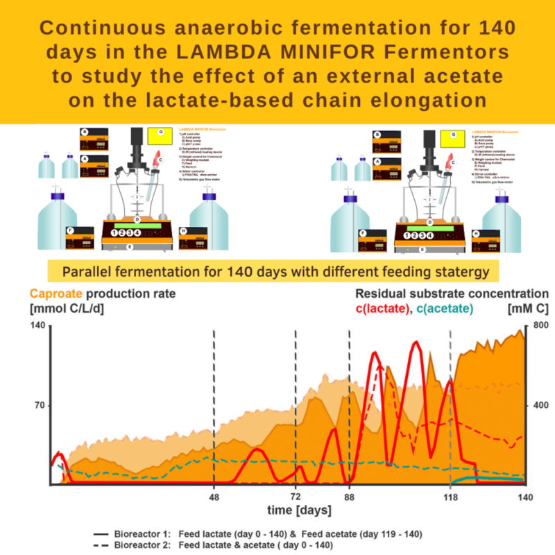 Fermentation anaérobie continue pendant 140 jours dans des fermenteurs LAMBDA MINIFOR pour étudier l'effet d'un acétate externe sur l'allongement de la chaîne à base de lactate