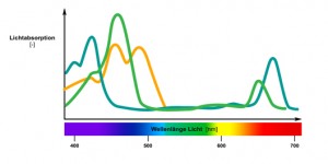 Diagramm Lichtabsorption von Farbstoffen in phototrophen Mikroorganismen