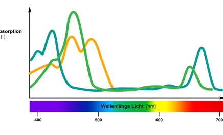 Diagramm Lichtabsorption von Farbstoffen in phototrophen Mikroorganismen
