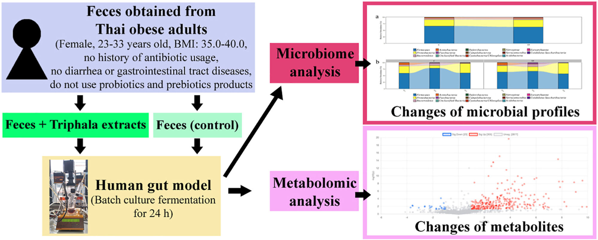 https://doi.org/10.1016/j.jtcme.2023.02.011 graphical abstract https://doi.org/10.1016/j.jtcme.2023.02.011 graphical abstract