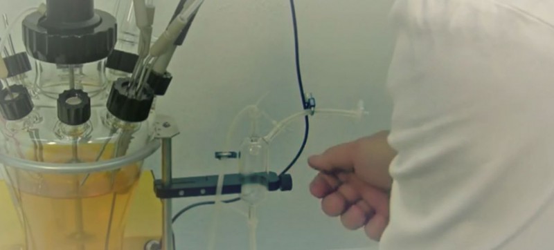 Probenahme während der Fermentation im Laborbioreaktor