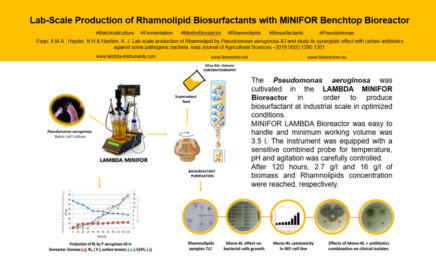 Pseudomonas aeruginosa produziert das Biotensid Rhamnolipid (RL) im LAMBDA MINIFOR Laborfermenter