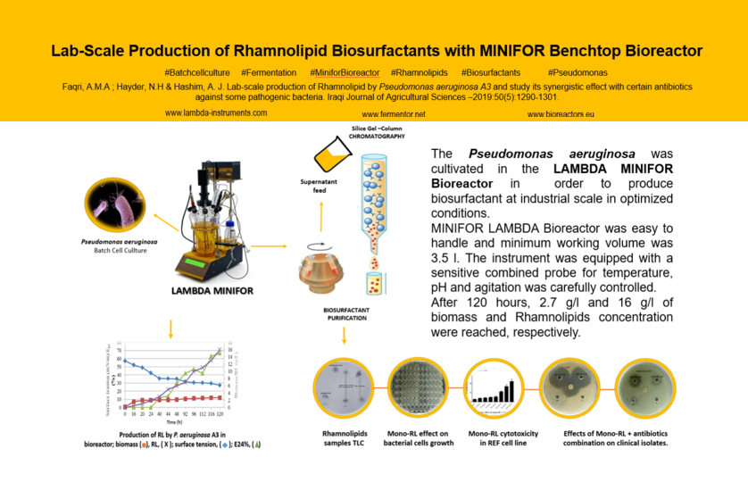 Pseudomonas aeruginosa produit des biosurfactants rhamnolipidiques dans le fermenteur de laboratoire LAMBDA MINIFOR