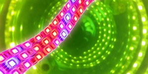 LED Leuchtquelle für MINIFOR PBR Photobioreaktoren