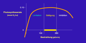 Bestrahlungsabhängige Photosyntheserate [mmol O2/Ls]